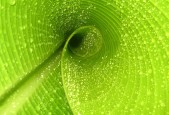 世界保龄球社区推广月志愿者技能视频教程上线，保龄球宣传