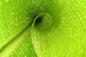 世界保龄球社区推广月志愿者技能视频教程上线，保龄球宣传