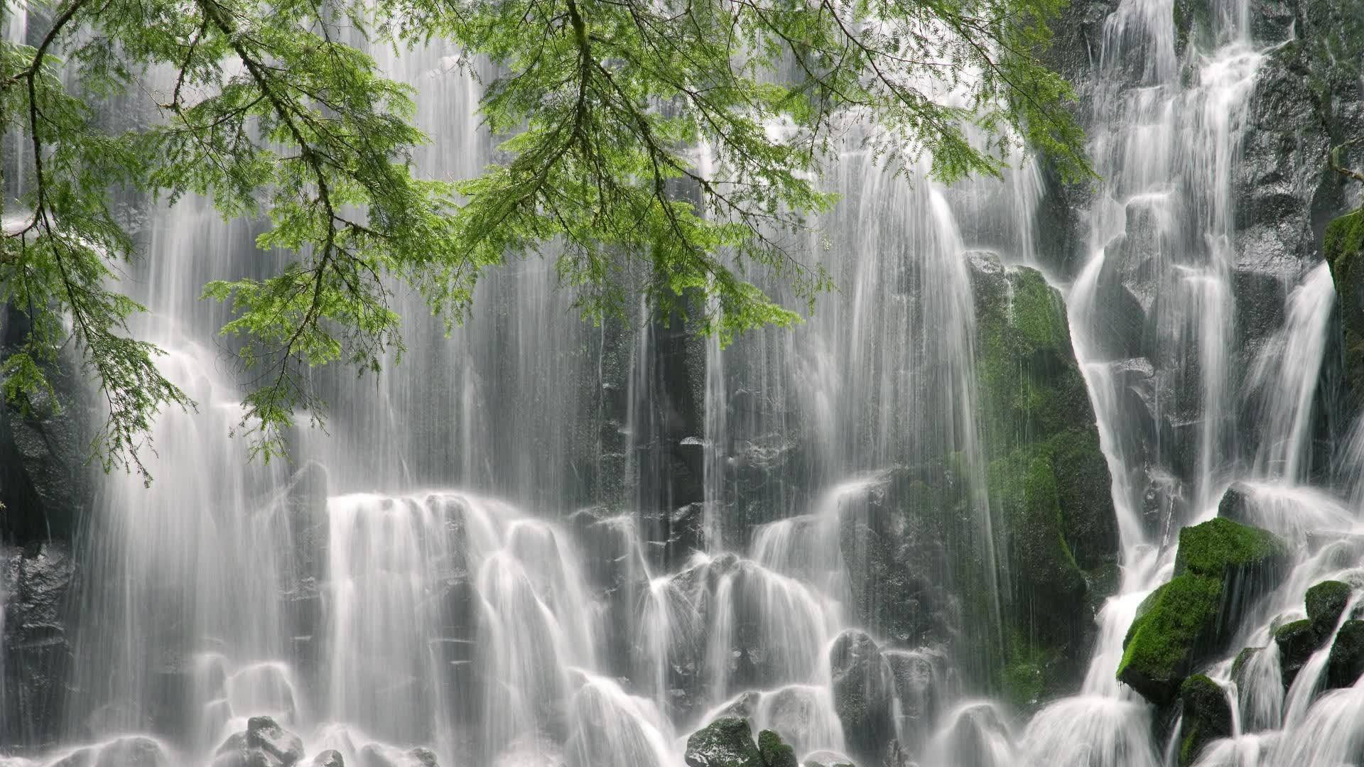 世界体操团体赛赛场评分回放系统用户培训手册第二版发布，体操世界级比赛